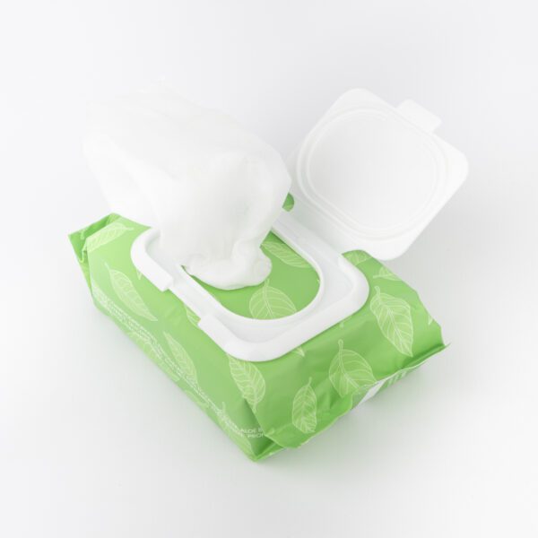 TOALLITAS DESMAQUILLANTES CON EXTRACTO DE TE VERDE CITY GIRL RA001-1